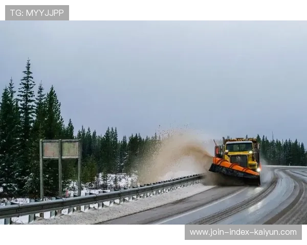 雪车赛高速赛道惊险刺激，团队协作至关重要，雪车比赛有什么技巧